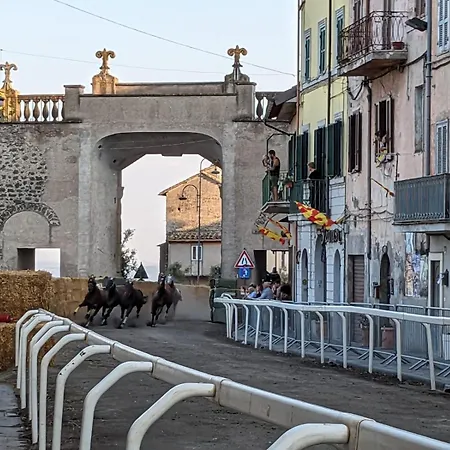Porta Romana דירה רונצ'יליונה